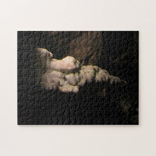 Kristalgrot Kasteel Puzzel (Horizontaal)