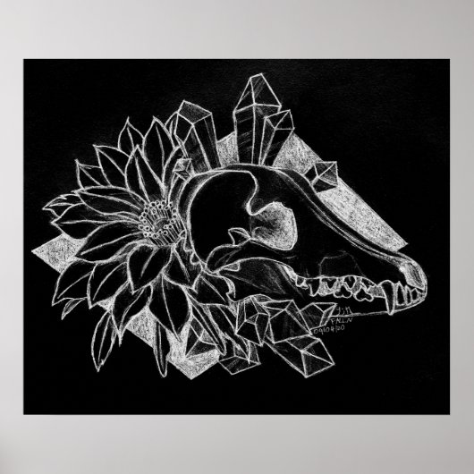 Kristallen Coyote Omgekeerd Poster (Voorkant)