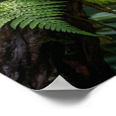 Kristallen Kameleon Jungle Glow Poster (Hoek)