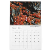 Kristallen:Meetkunde in Natuur Kalender (Feb 2026)