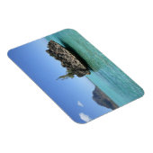 Kristallen rots samengesteld uit koraal magneet (Rechterzijde)