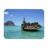 Kristallen rots samengesteld uit koraal magneet (Horizontaal)