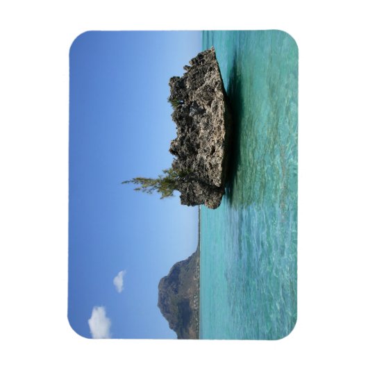 Kristallen rots samengesteld uit koraal magneet (Verticaal)