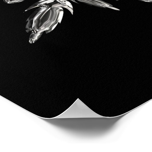 Kristalsneeuwvlok Poster (Hoek)