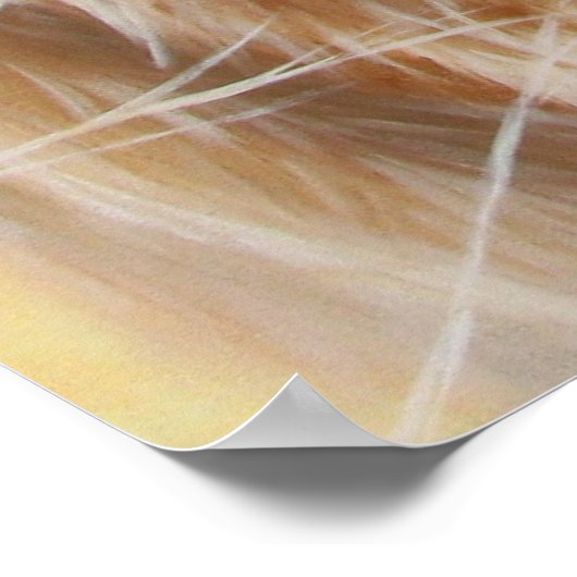 KRITIEK POSTER (Hoek)