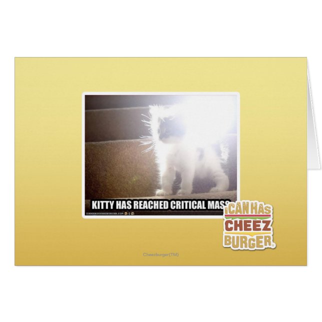 Kritisch massaal Kat (Voorkant Horizontaal)