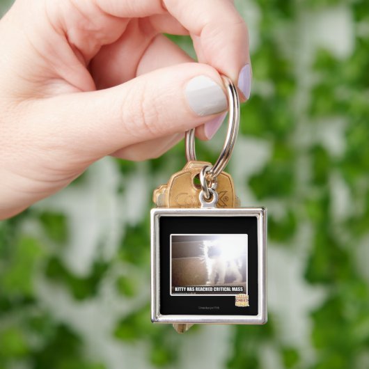 Kritisch massaal Kat Sleutelhanger (Hand)