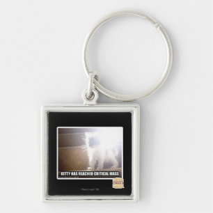Kritisch massaal Kat Sleutelhanger