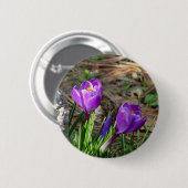 Kroaten in de Button Bloom (Voorkant /achterkant)