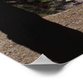 Kroatië, Brac Island, Bol, Golden Cape Beach Poster (Hoek)