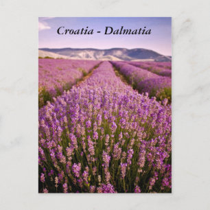 Kroatië - Dalmatia Briefkaart