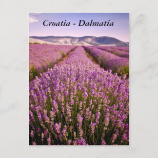 Kroatië - Dalmatia Briefkaart