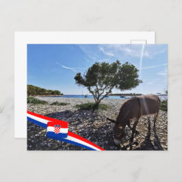 Kroatië | Hrvatska | Adriatisch Zee | Ezel Briefkaart