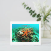 Kroatië - leven in Zee Briefkaart (Staand voorkant)