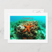 Kroatië - leven in Zee Briefkaart (Voorkant / Achterkant)