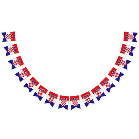 Kroatische vlag en partij Kroatische banners / bru (Alle)