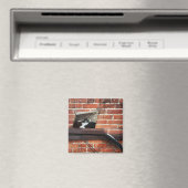 kroeg magneet (Insitu (Vaatwasser))