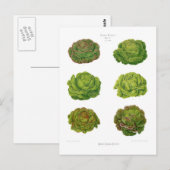 Kroes Briefkaart (Voorkant / Achterkant)