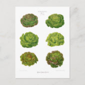 Kroes Briefkaart (Voorkant)