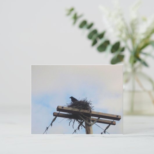 Kroes Nest in Ak Briefkaart (Staand voorkant)