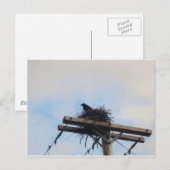 Kroes Nest in Ak Briefkaart (Voorkant / Achterkant)