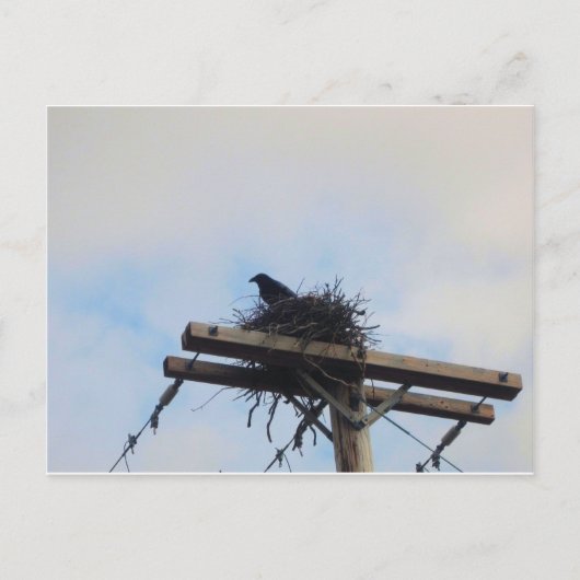 Kroes Nest in Ak Briefkaart (Voorkant)