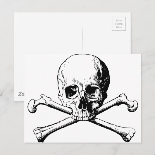 Kroesbeenschil Briefkaart (Voorkant / Achterkant)