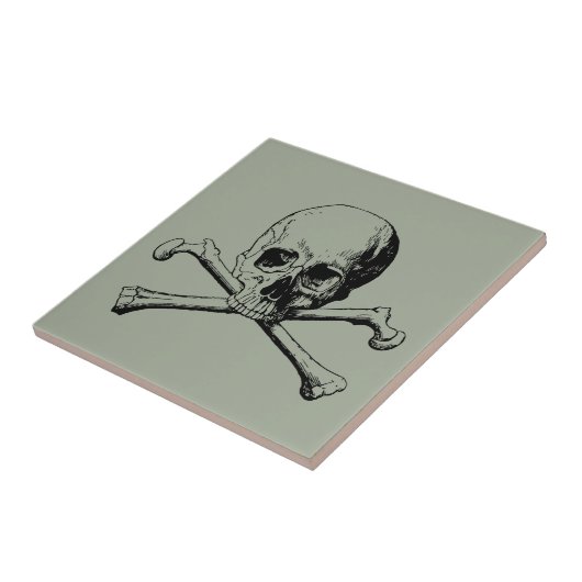 Kroesbeenschil Tegeltje (Zijkant)