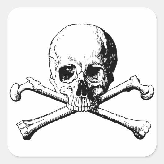 Kroesbeenschil Vierkante Sticker (Voorkant)