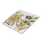 Kroesbloem Botanische tegel Tegeltje (Zijkant)