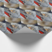 Kroeskoppelikaan Cadeaupapier (Hoek)