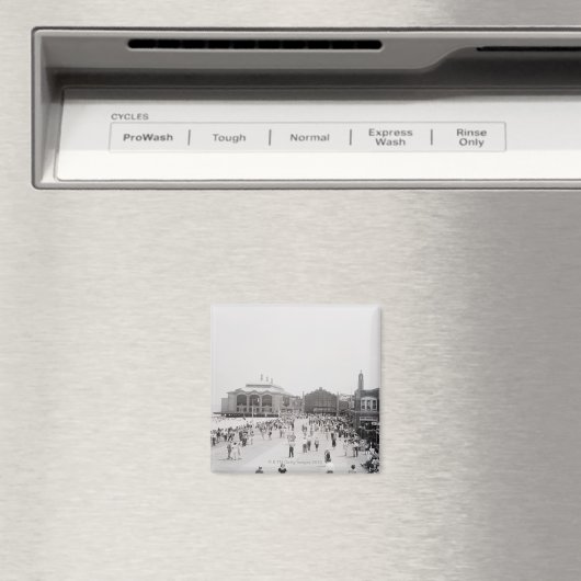 Kroezen Magneet (Insitu (Vaatwasser))