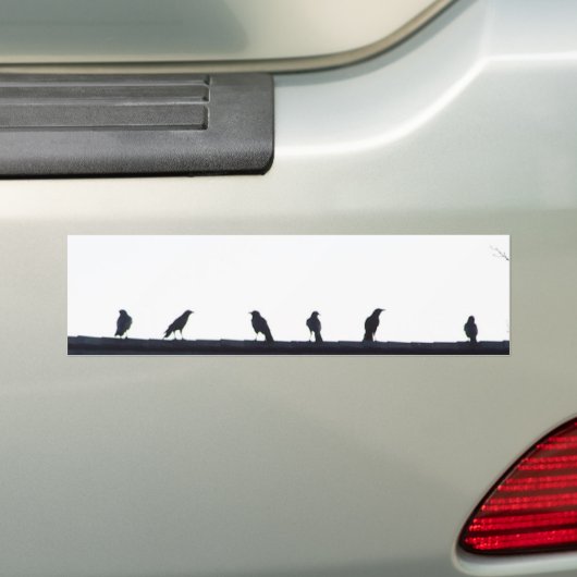 Krogen in een lijn bumpersticker (Op auto)