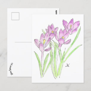 krokodieken briefkaart