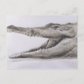Krokodil 2005 briefkaart (Voorkant)