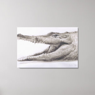 krokodil 2005 canvas afdruk