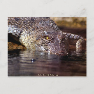 krokodil, A U S T R A L I A Briefkaart