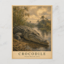 Krokodil Afrikaanse Wetlands VINTAGE Briefkaart