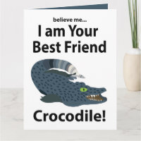 Krokodil Alligator Grappige Krokodil