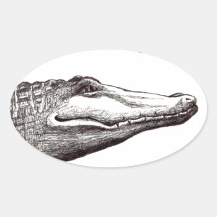 Krokodil alligator libellen leuke kunst tekening ovale sticker