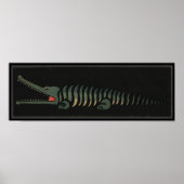 Krokodil - Antiquarian Colorful Book Illustration Poster (Voorkant)
