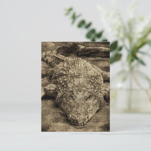 Krokodil Briefkaart (Staand voorkant)