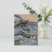 Krokodil Briefkaart (Staand voorkant)