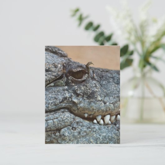 Krokodil Briefkaart (Staand voorkant)