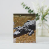 Krokodil Briefkaart (Staand voorkant)