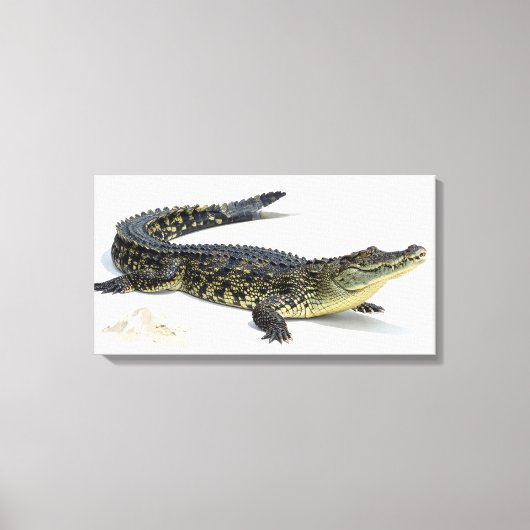 Krokodil Canvas Afdruk (Voorkant)