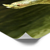 Krokodil / Crocodile Poster (Hoek)