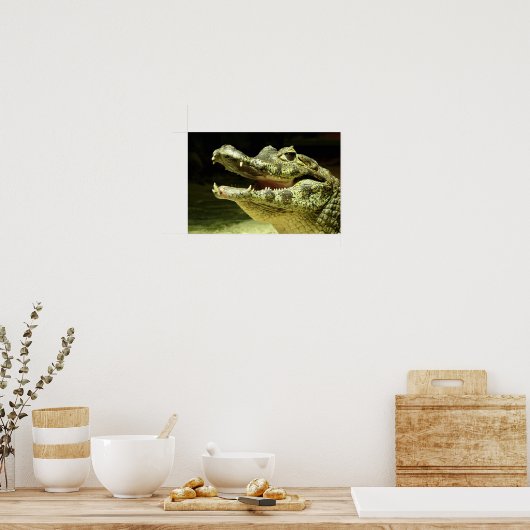 Krokodil / Crocodile Poster (Keuken)