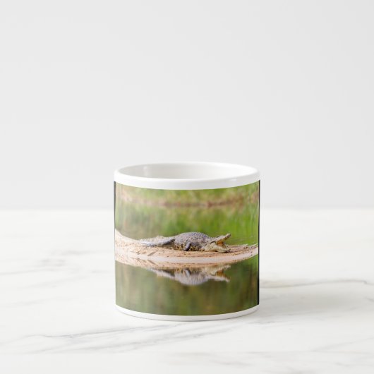 Krokodil Espresso Kop (Voorkant)