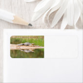 Krokodil Etiket (Insitu)